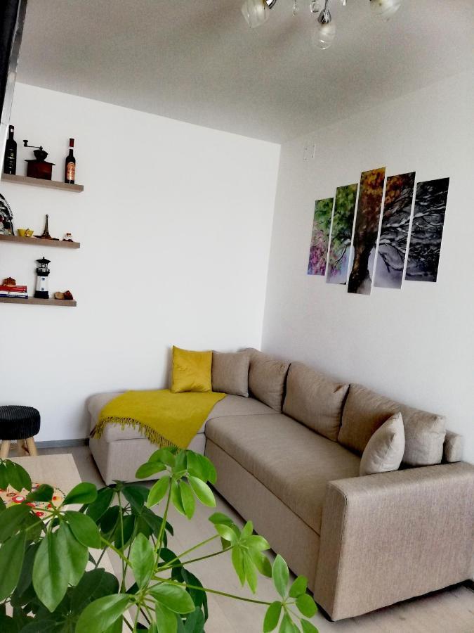 Apartament Raluca Topliţa Exterior foto